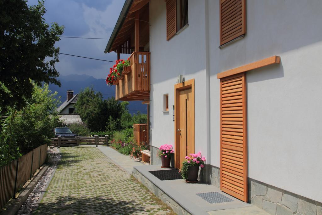 Apartments Vila Jelka 보히니 외부 사진
